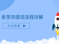 麦芽贷是正规的吗，查征信吗，要求高不高